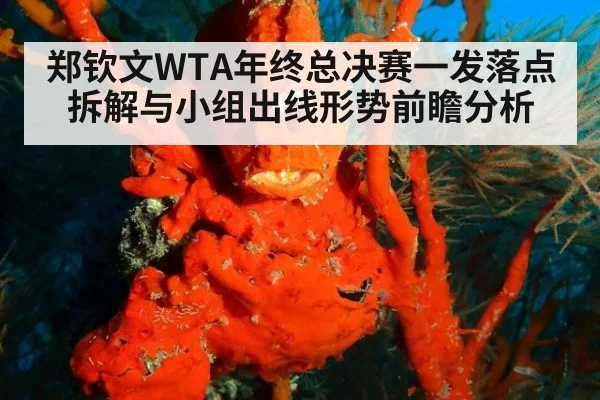 郑钦文WTA年终总决赛一发落点拆解与小组出线形势前瞻分析